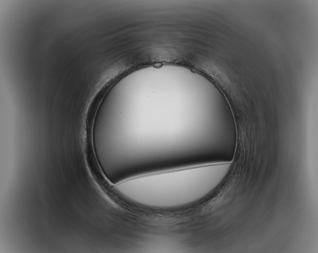 X0000088400630200705220822