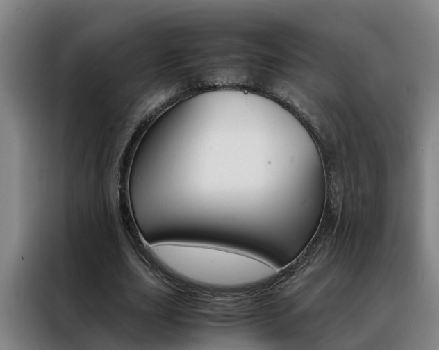 X0000088400631200705220822