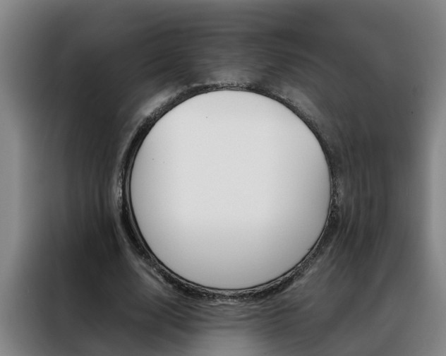 X0000088400632200705220822
