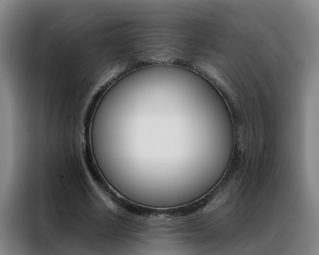 X0000088400634200705220822