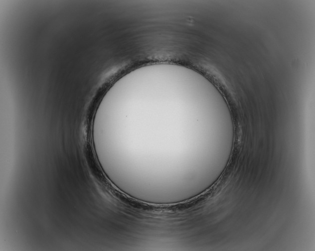 X0000088400636200705220822