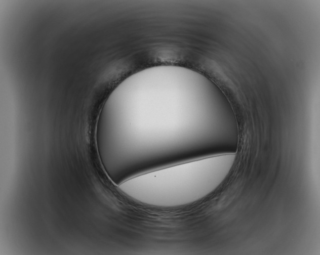 X0000088400639200705220822