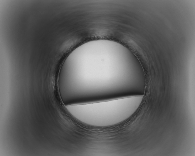 X0000088400640200705220822