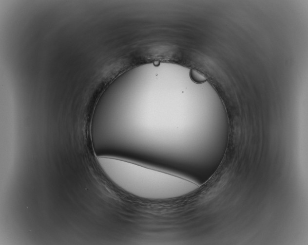 X0000088400641200705220822