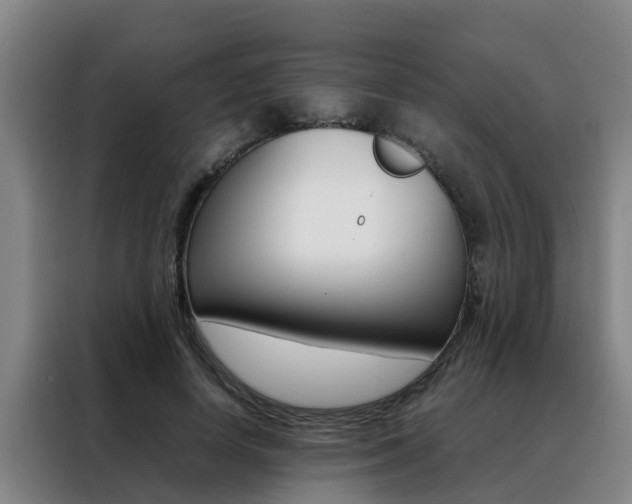 X0000088400642200705220822