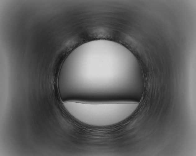 X0000088400643200705220822