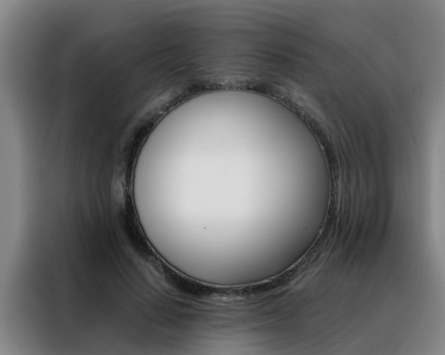 X0000088400644200705220822