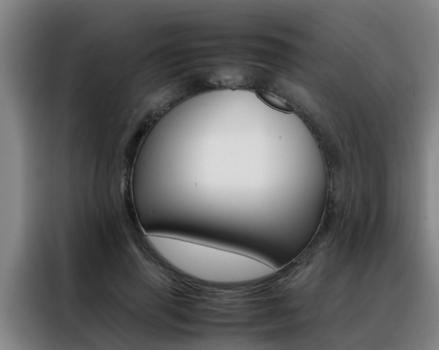 X0000088400645200705220822