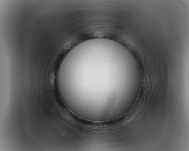 X0000088400646200705220822