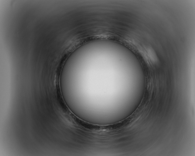 X0000088400647200705220822