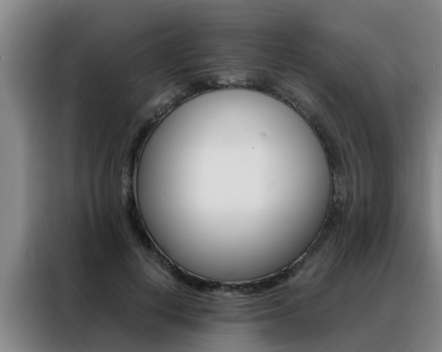 X0000088400648200705220822