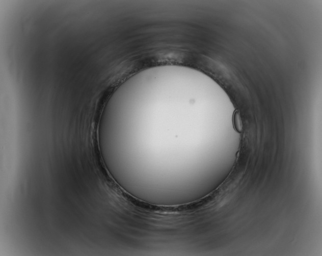 X0000088400649200705220822