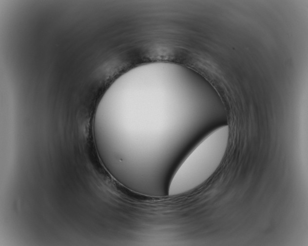X0000088400652200705220822