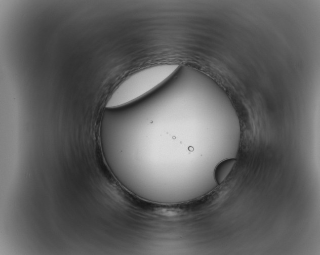 X0000088400654200705220822