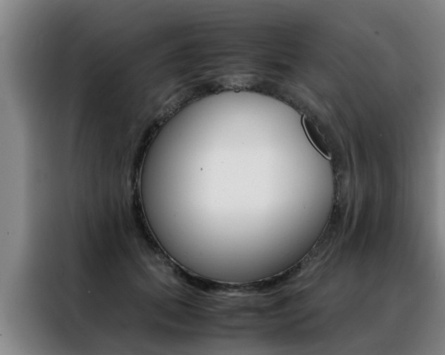 X0000088400655200705220822