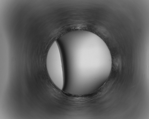 X0000088400657200705220822
