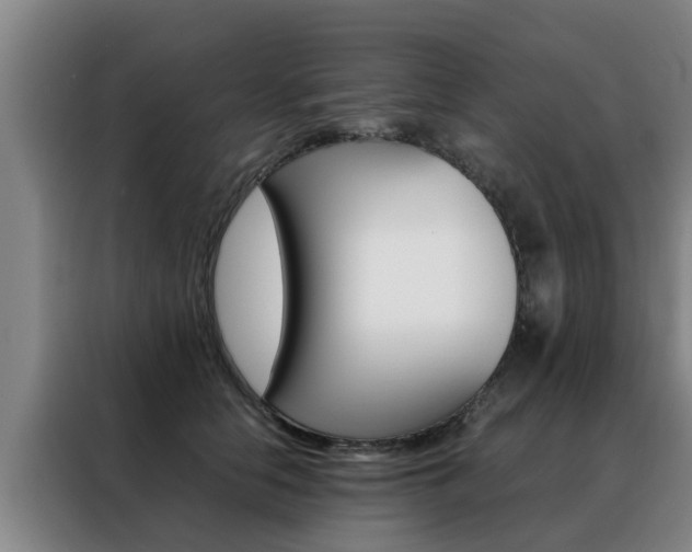 X0000088400658200705220822