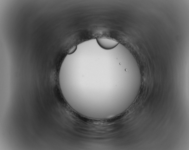 X0000088400659200705220822
