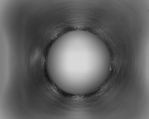 X0000088400660200705220822