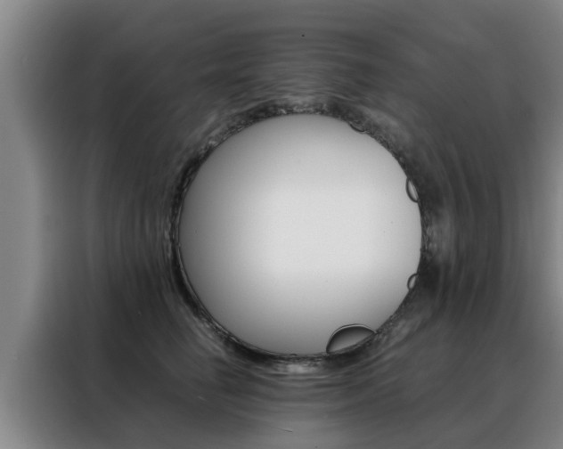 X0000088400662200705220822