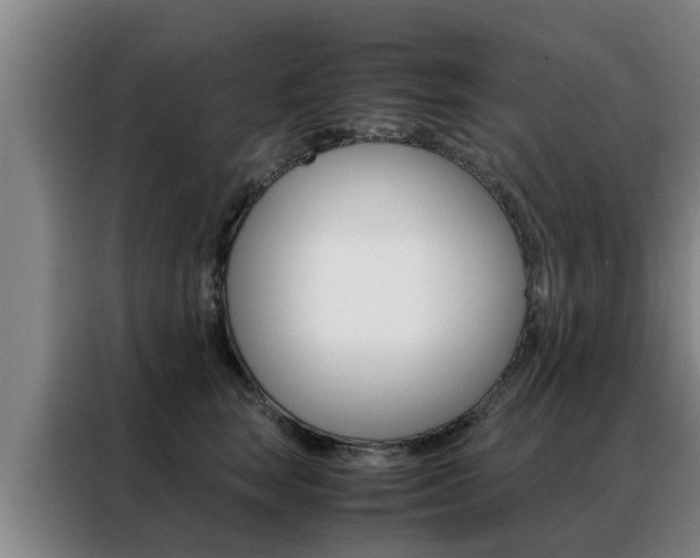 X0000088400663200705220822