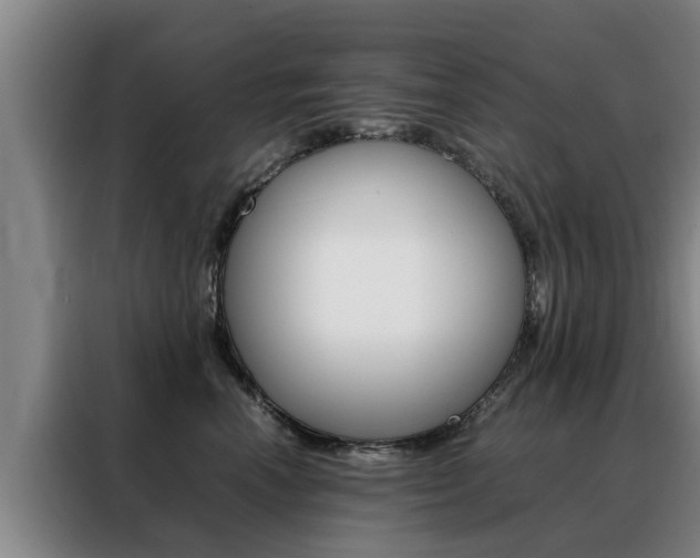 X0000088400666200705220822