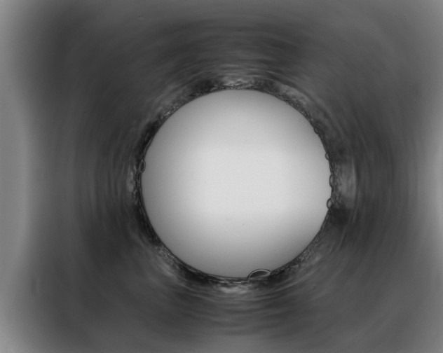 X0000088400667200705220822