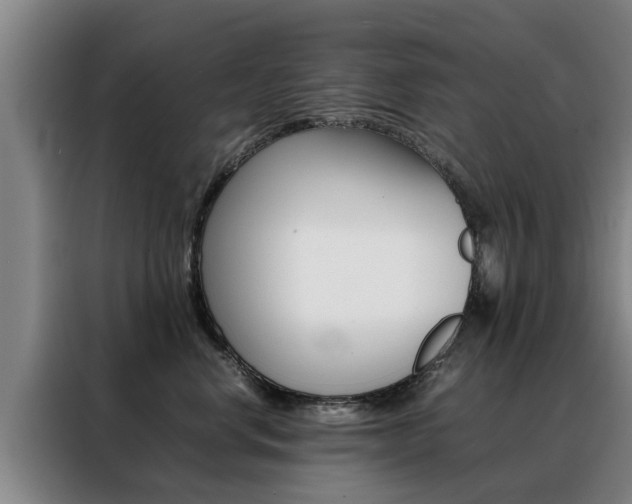 X0000088400668200705220822