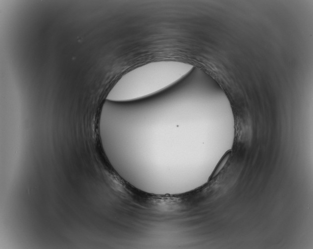 X0000088400670200705220822