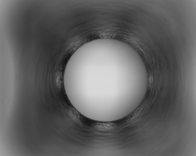 X0000088400671200705220822