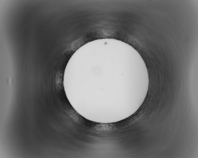 X0000088400672200705220822