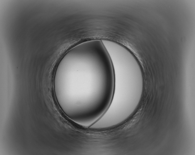 X0000088400673200705220822