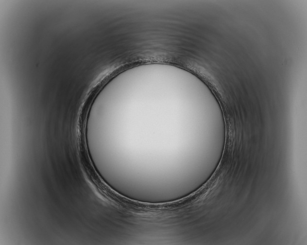 X0000088400674200705220822