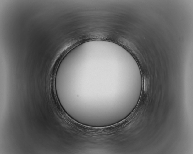 X0000088400675200705220822