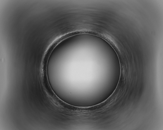 X0000088400676200705220822