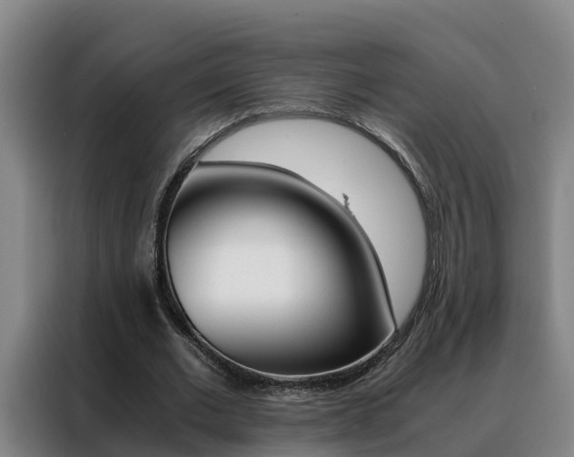 X0000088400677200705220822