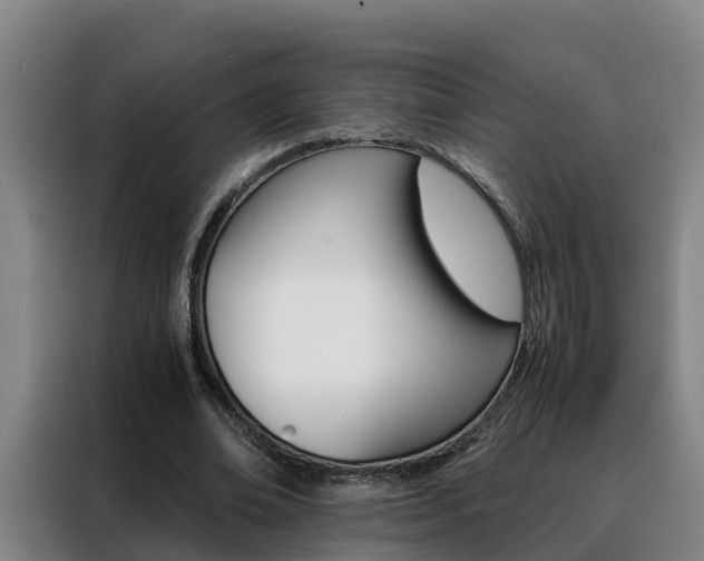 X0000088400678200705220822