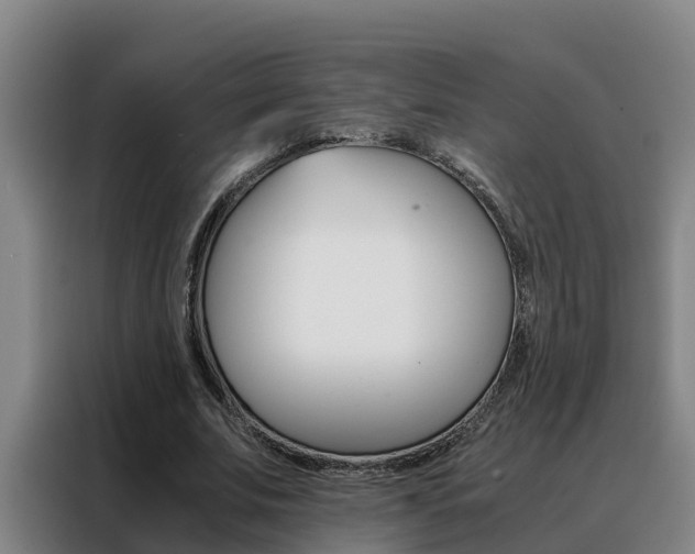 X0000088400679200705220822