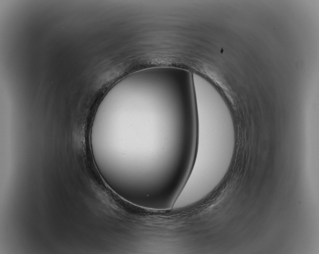 X0000088400681200705220822