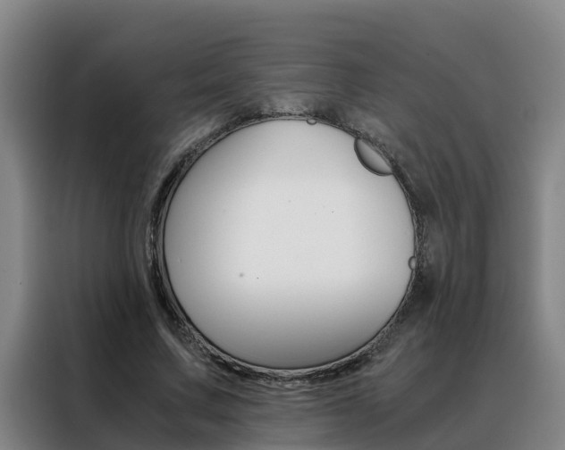 X0000088400683200705220822