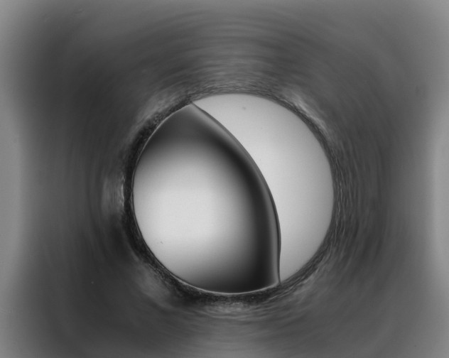 X0000088400685200705220822