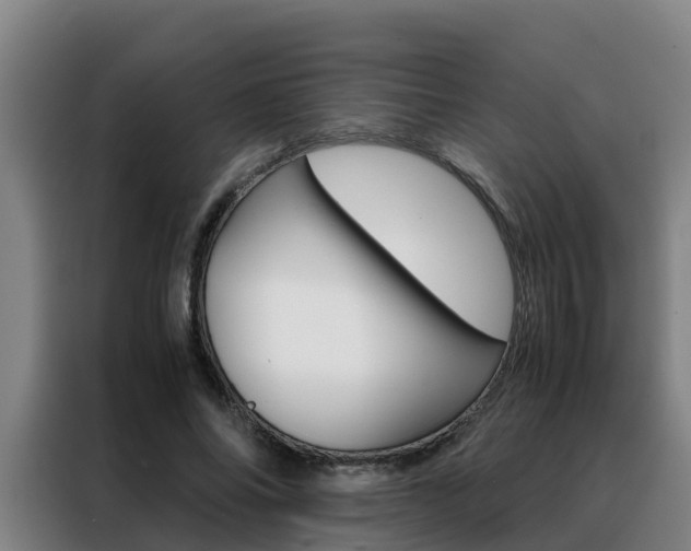 X0000088400686200705220822