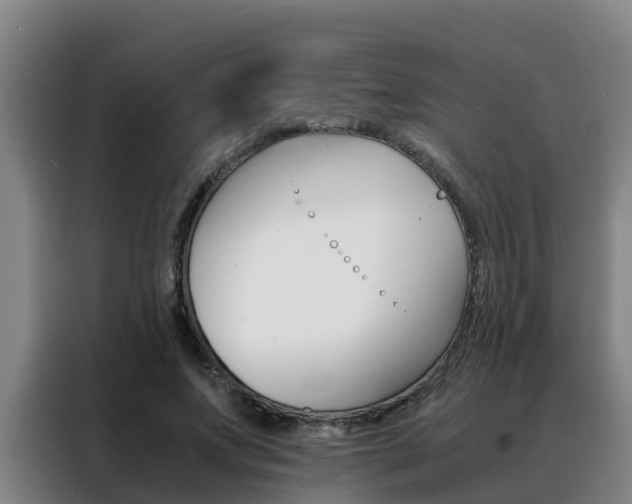 X0000088400687200705220822