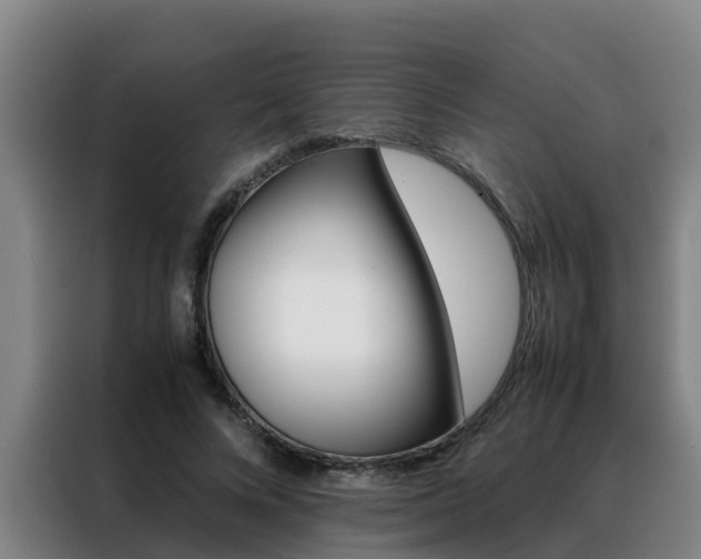 X0000088400688200705220822