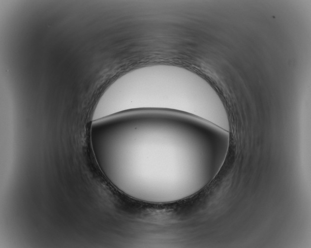 X0000088400689200705220822
