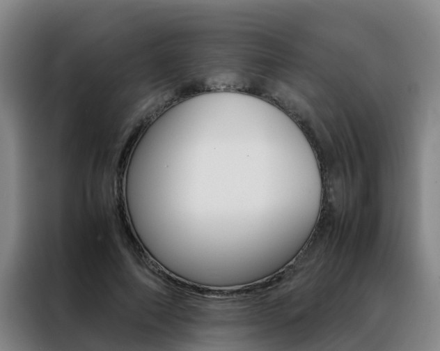 X0000088400690200705220822