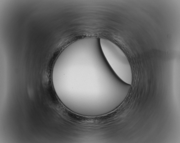 X0000088400691200705220822