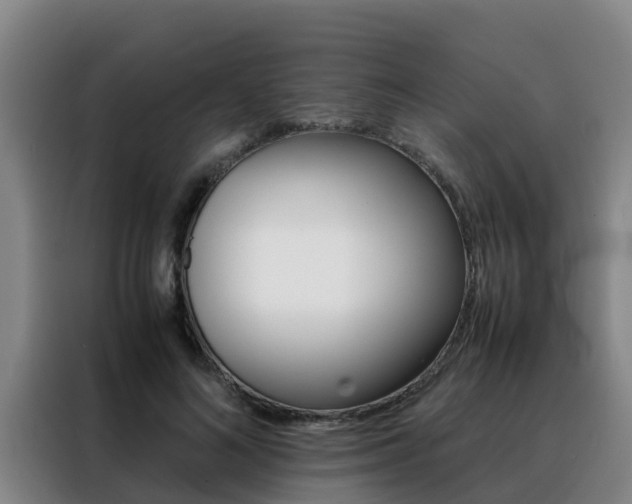 X0000088400692200705220822