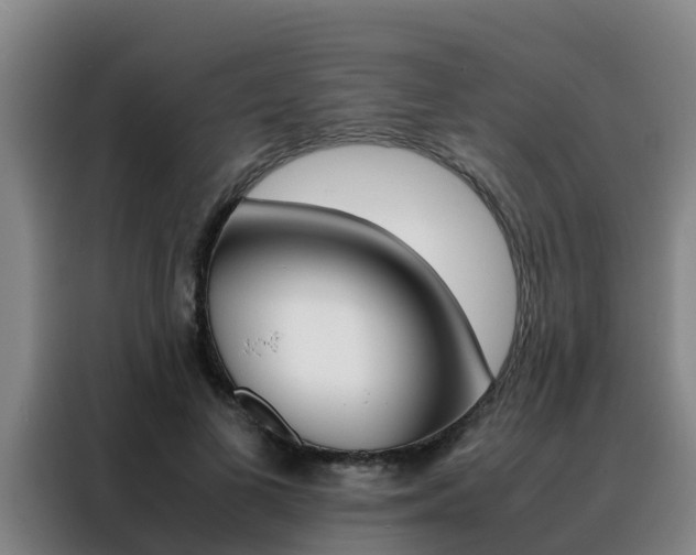 X0000088400693200705220822