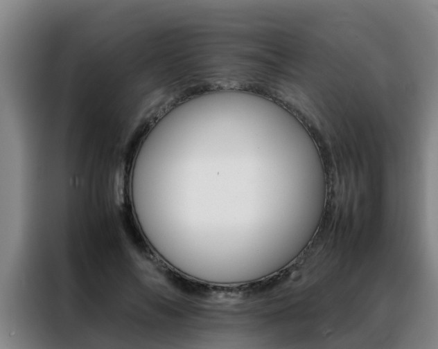 X0000088400694200705220822